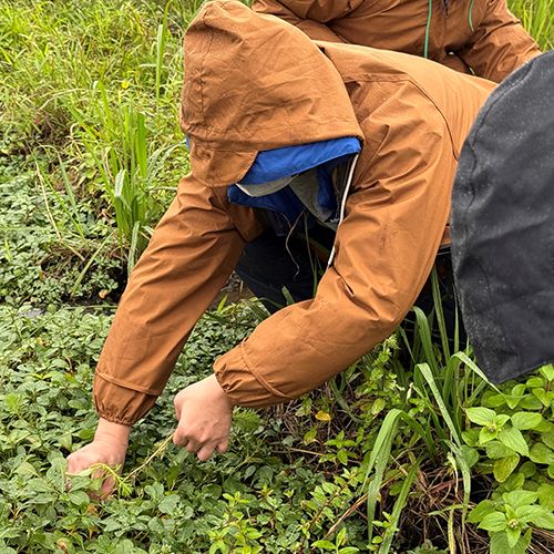 Pan Taiwan, sorumlu bir küresel üye olarak proaktif adımlar atmaya kararlıdır. Çevre koruma konusundaki anlayışımızı güçlendirmeye ve özellikle Avrupa'daki müşterilerimiz için gerekli olabilecek çevre ile ilgili gelecekteki düzenlemelere hazırlanmaya kendimizi adadık.